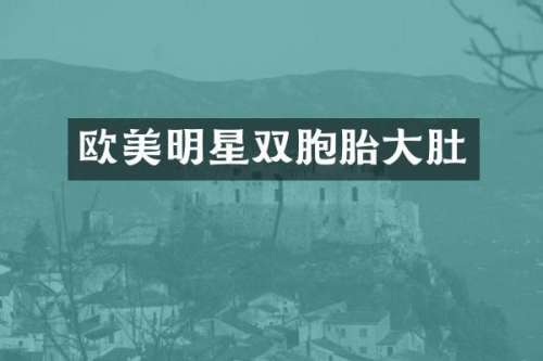 欧美明星双胞胎大肚