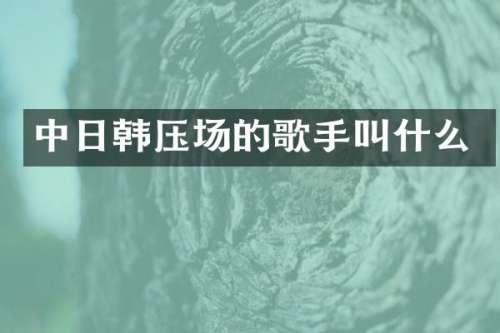 中日韩压场的歌手叫什么