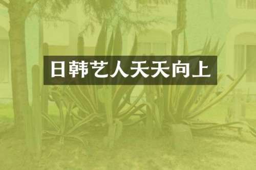 日韩艺人天天向上