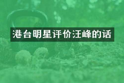 港台明星评价汪峰的话