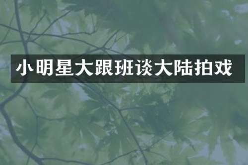 小明星大跟班谈大陆拍戏