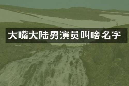 大嘴大陆男演员叫啥名字