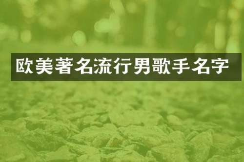 欧美著名流行男歌手名字