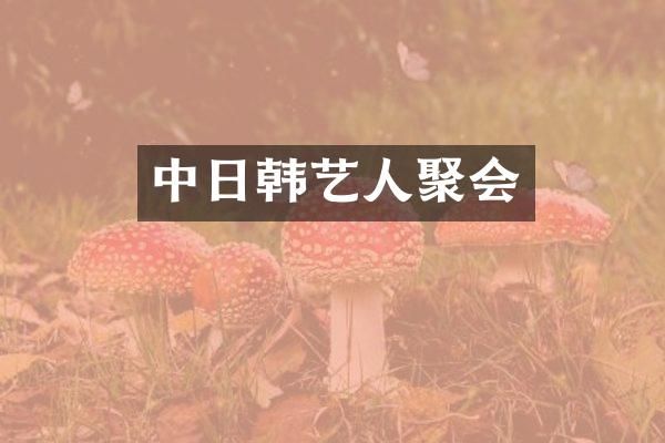 中日韩艺人聚会
