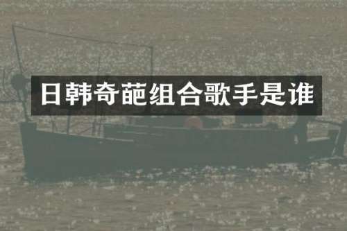 日韩奇葩组合歌手是谁