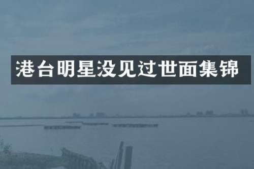 港台明星没见过世面集锦