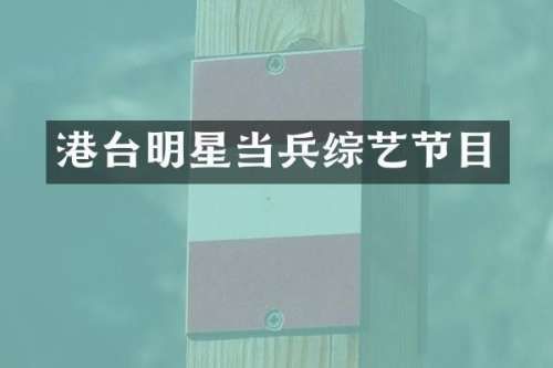 港台明星当兵综艺节目