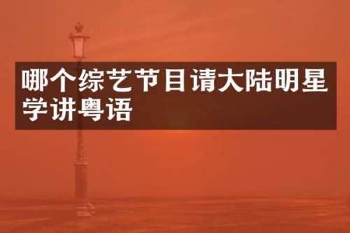 哪个综艺节目请大陆明星学讲粤语