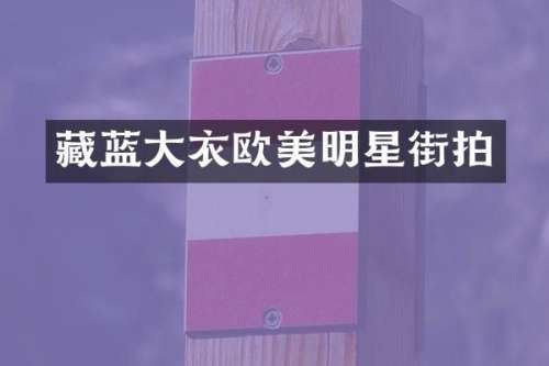 藏蓝大衣欧美明星街拍