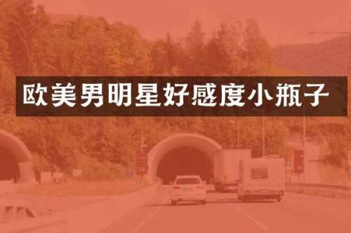 欧美男明星好感度小瓶子