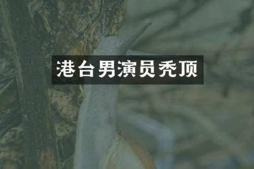 港台男演员秃顶