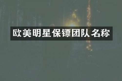 欧美明星保镖团队名称