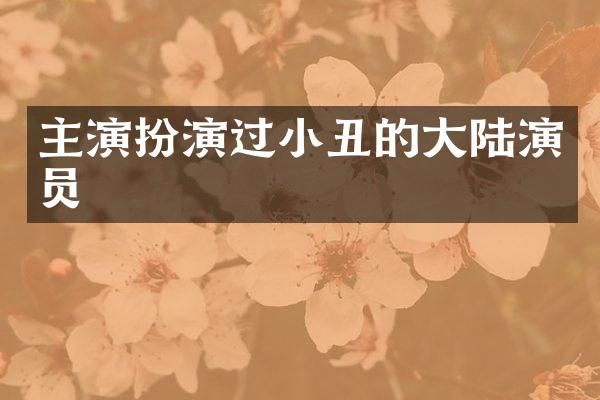主演扮演过小丑的大陆演员