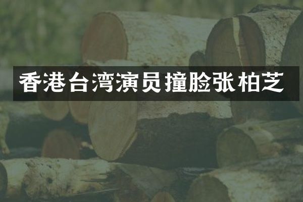 香港台湾演员撞脸张柏芝