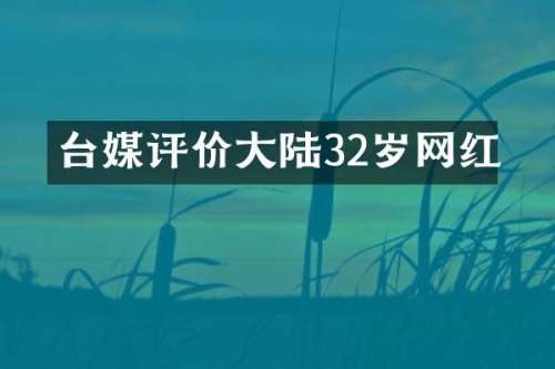 台媒评价大陆32岁网红