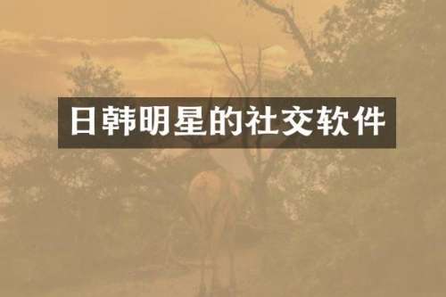 日韩明星的社交软件