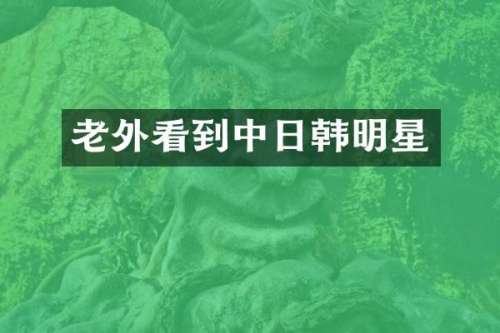 老外看到中日韩明星
