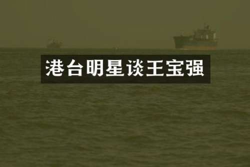 港台明星谈王宝强