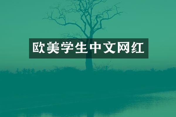 欧美学生中文网红