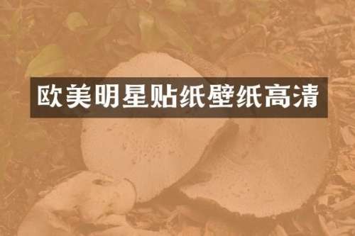 欧美明星贴纸壁纸高清