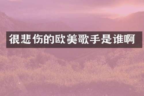 很悲伤的欧美歌手是谁啊