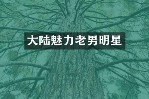 大陆魅力老男明星