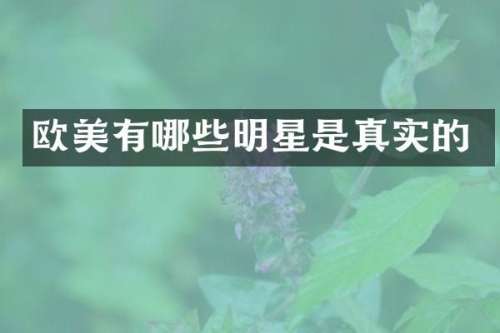 欧美有哪些明星是真实的