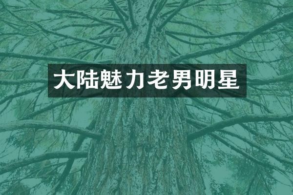大陆魅力老男明星