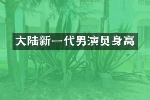 大陆新一代男演员身高