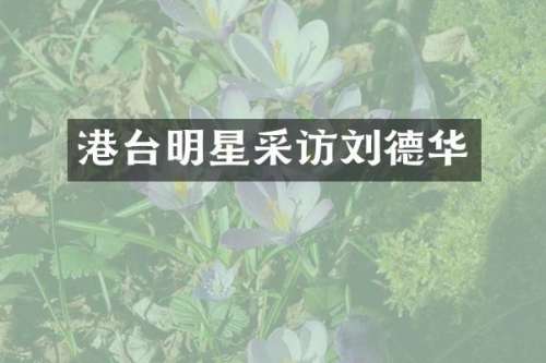 港台明星采访刘德华