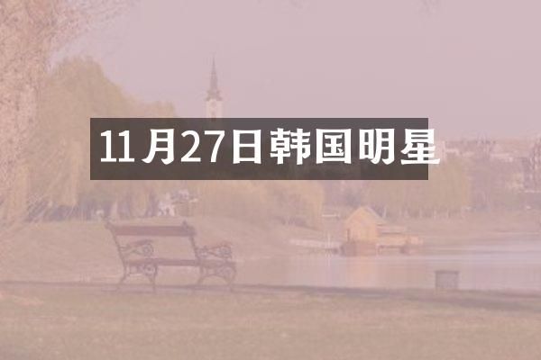 11月27日韩国明星