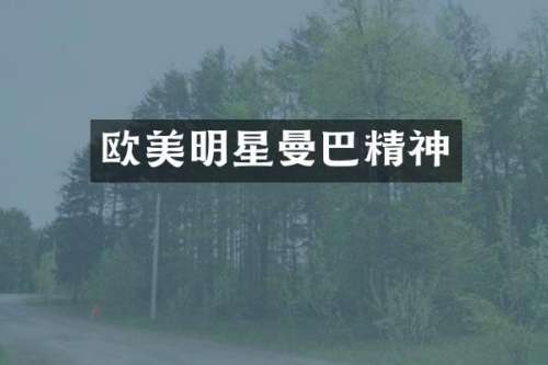 欧美明星曼巴精神