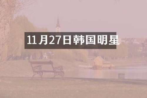 11月27日韩国明星