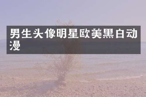 男生头像明星欧美黑白动漫
