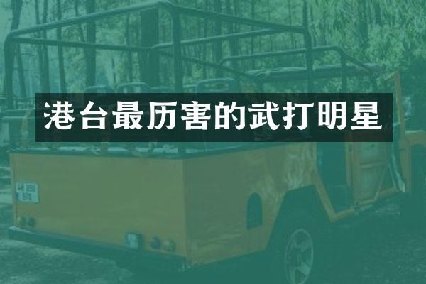 港台最历害的武打明星