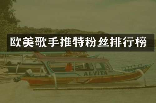 欧美歌手推特粉丝排行榜