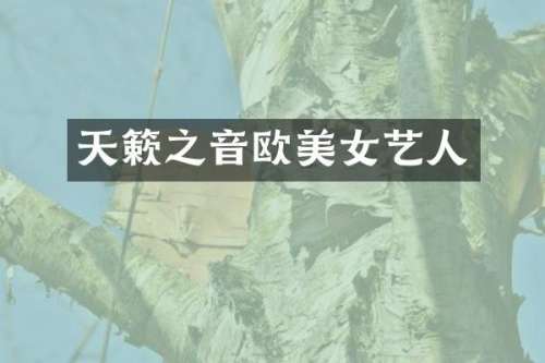 天簌之音欧艺人