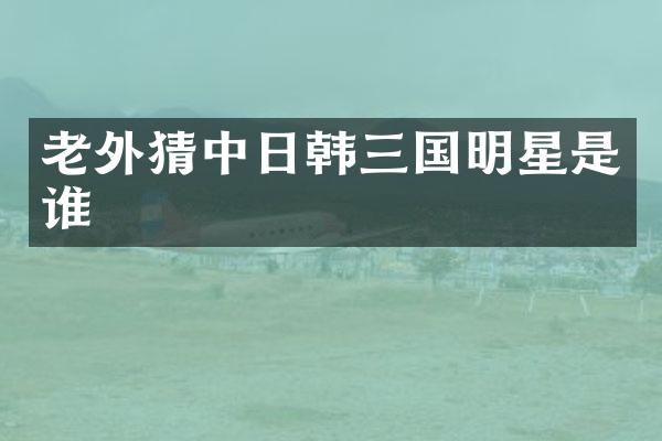 老外猜中日韩三国明星是谁