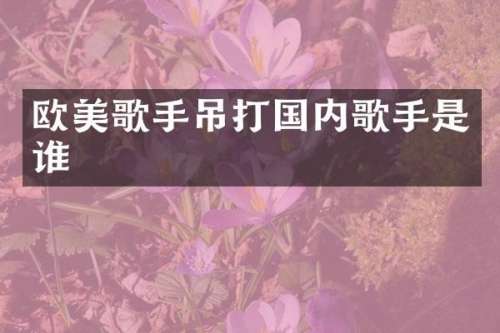 欧美歌手吊打国内歌手是谁
