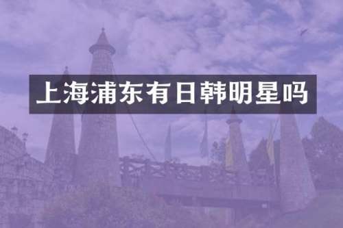上海浦东有日韩明星吗