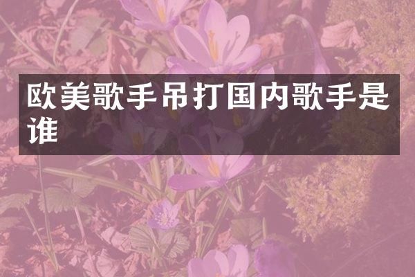 欧美歌手吊打国内歌手是谁