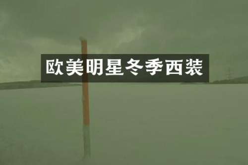 欧美明星冬季西装