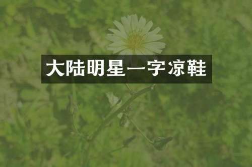 大陆明星一字凉鞋