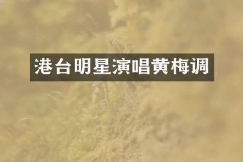 港台明星演唱黄梅调