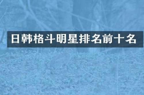 日韩格斗明星排名前十名