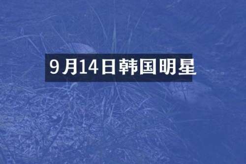 9月14日韩国明星