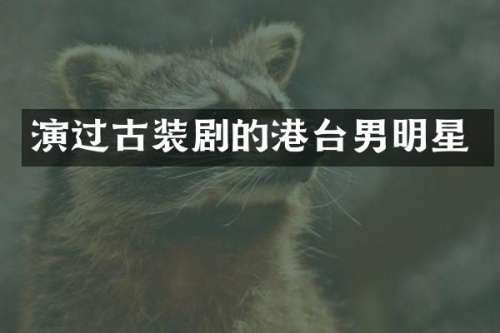 演过古装剧的港台男明星
