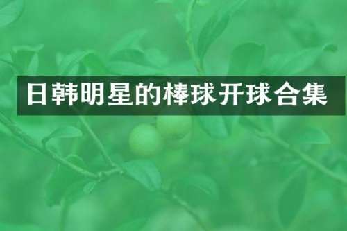 日韩明星的棒球开球