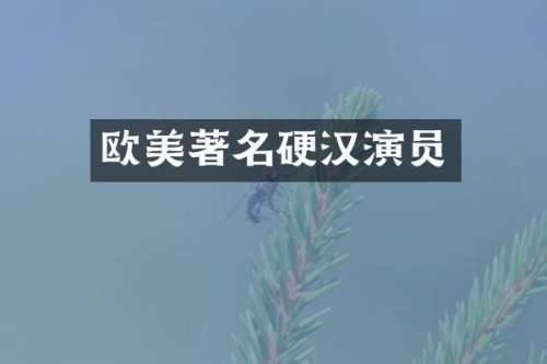 欧美著名硬汉演员