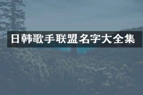 日韩歌手联盟名字大全集